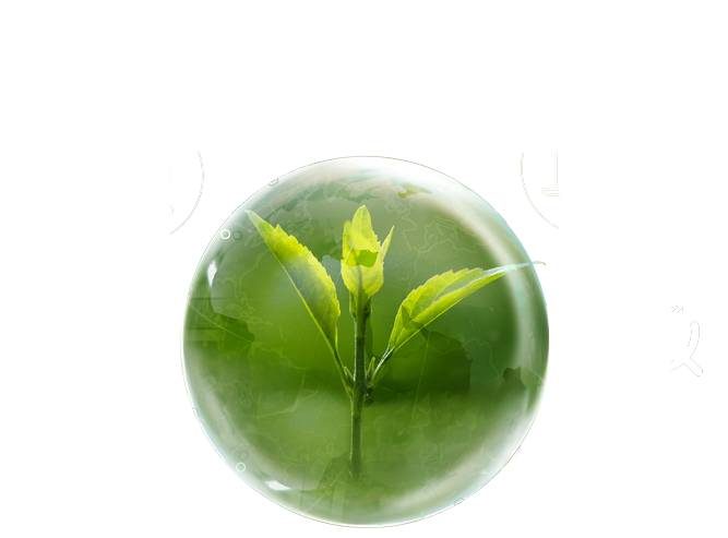 Plan Modernización Móvil