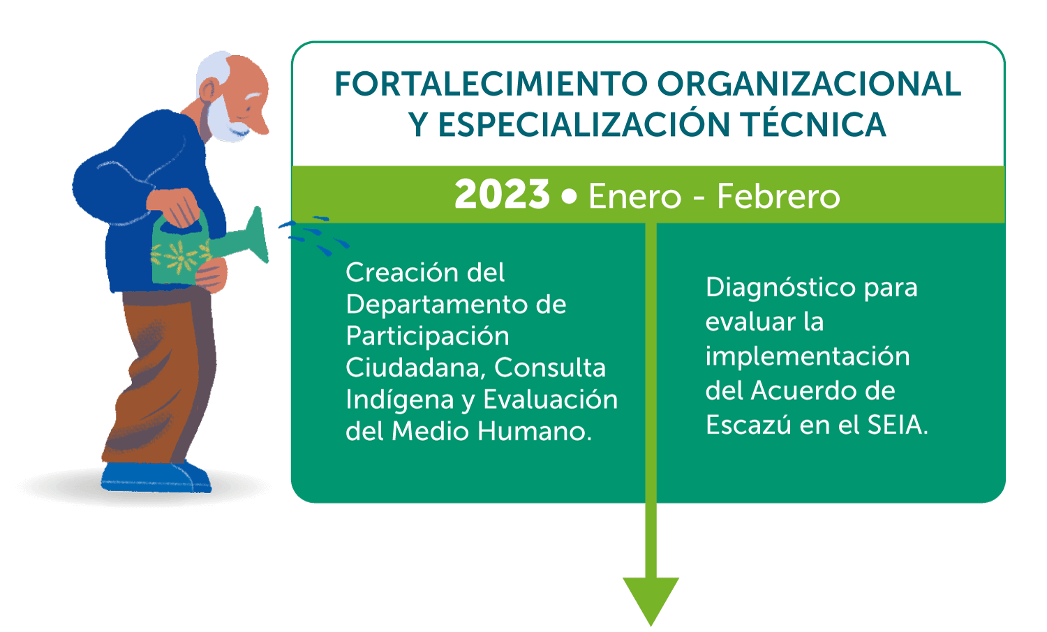 Fortalecimiento Organizacional y Especialización Técnica