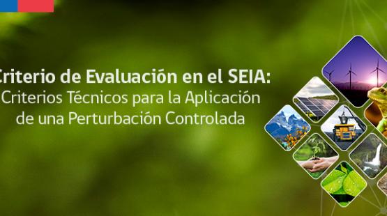 criterio_de_evaluacion_en_el_seia