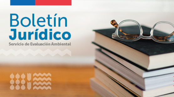 Boletín Jurídico mayo 2023