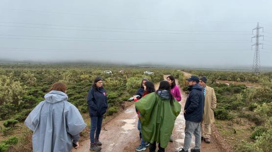 SEA Coquimbo realiza visita técnica sobre DIA para proyecto de modificación de parque híbrido en Ovalle