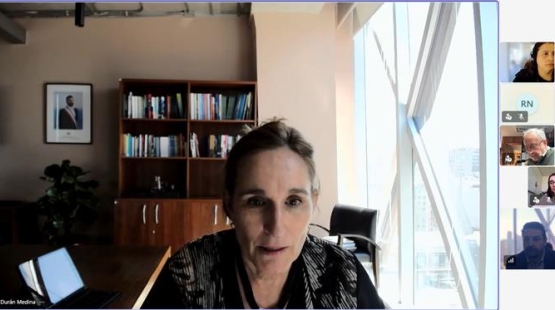 Directora ejecutiva entrega balance de gestión al COSOC