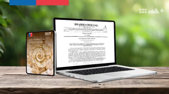 Criterio de evaluación de patrimonio cultural paleontológico del SEA, publicado en el Diario Oficial para su entrada en vigencia.