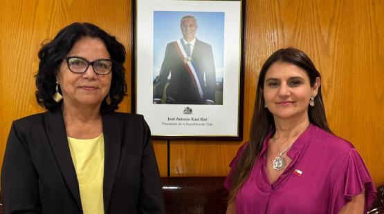 Directora regional SEA Atacama se reúne con nueva delegada regional presidencial