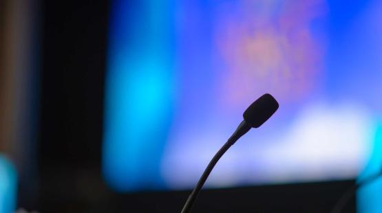 Declaración Pública del Servicio de Evaluación Ambiental