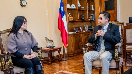 Directora Regional de Biobío se reúne con nuevo delegado presidencial y seremi del Medio Ambiente