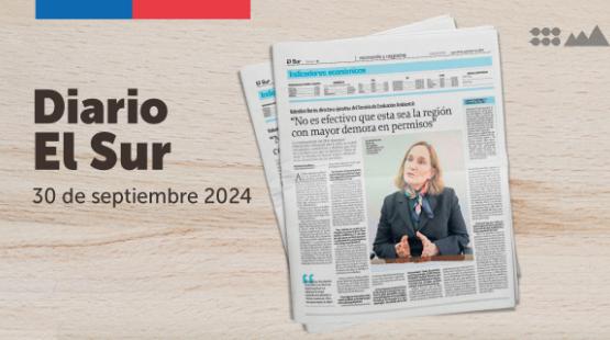 Entrevista directora ejecutiva con Diario El Sur