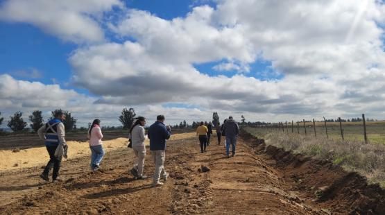 SEA Ñuble realiza visita técnica a planta avícola en la comuna de San Carlos