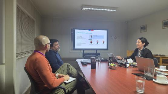 SEA Aysén realizó reunión de trabajo con equipo regional del SBAP