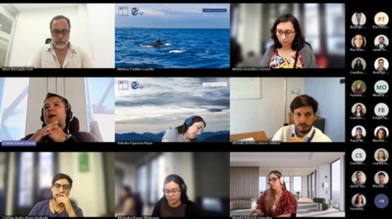 SEA capacita a equipo de evaluadores ambientales del Servicio de Biodiversidad y Áreas Protegidas