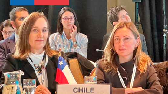 Directora SEA en Buenos Aires