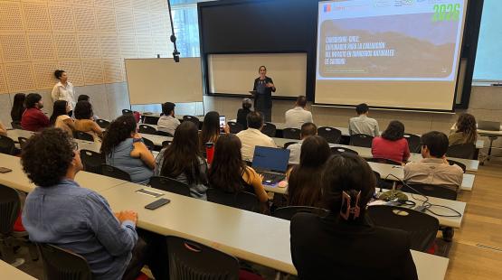 Presentación del proyecto CarbonSink-Chile sobre evaluación de impacto en sumideros naturales de carbono.