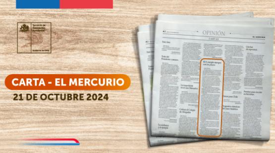 Directora Durán: “El SEA cumple siempre con los plazos”