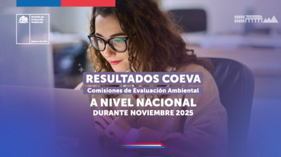 Listado proyectos calificados noviembre 2025