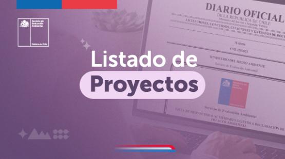 Listado de proyectos sujetos a Declaración de Impacto Ambiental presentados durante febrero 2025