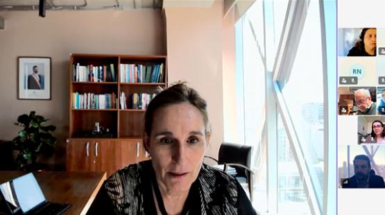 Directora ejecutiva entrega balance de gestión al COSOC