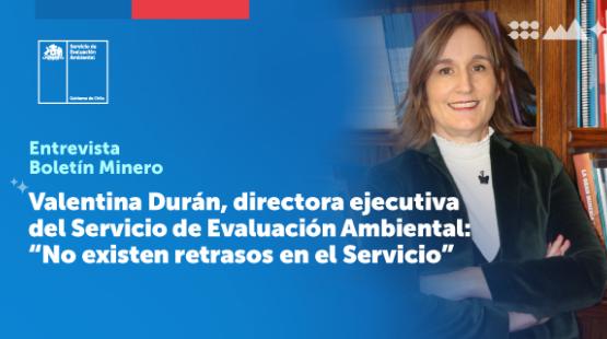 Valentina Durán, directora ejecutiva del Servicio de Evaluación Ambiental: “No existen retrasos en el Servicio”