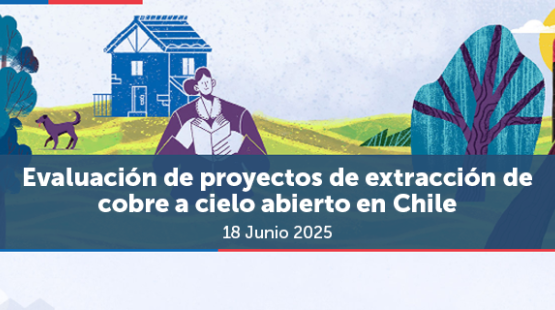 SEA expone en mesa técnica de REDLASEIA sobre evaluación de proyectos de minería de cobre a cielo abierto