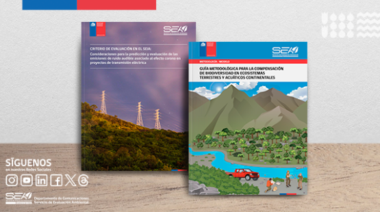 Actualización de Guía y Criterio del SEA