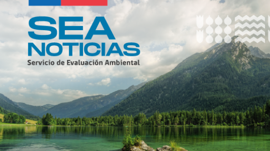 Cápsula agosto 2023