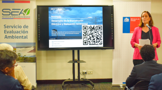 Directora Ejecutiva del SEA