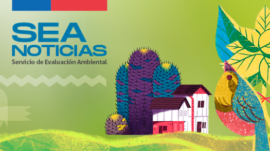 Cápsula diciembre 2022