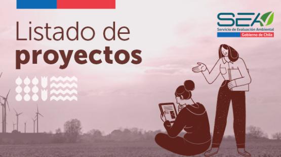 Listado de proyectos sujetos a Declaración de Impacto Ambiental presentados durante junio 2024