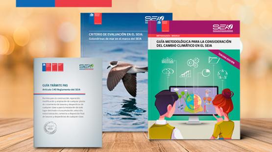 SEA informa sobre calendario con guías y criterios de evaluación próximos a publicar
