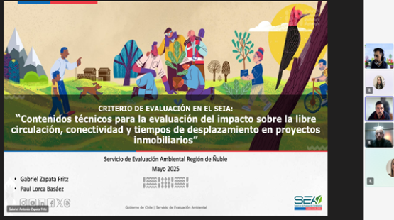 SEA Ñuble realiza capacitación sobre evaluación del impacto en la libre circulación en proyectos inmobiliarios