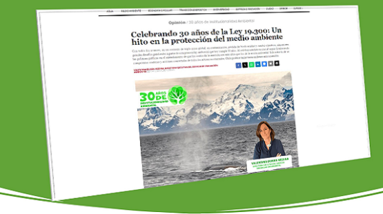 Valentina Durán: “La Ley 19.300 fue pionera en establecer la participación ciudadana como un elemento necesario a la hora de definir políticas públicas y hacer gestión ambiental”