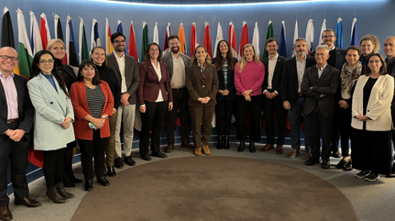 SEA expuso ante integrantes de Delegación de la Unión Europea en Chile sobre evaluación ambiental