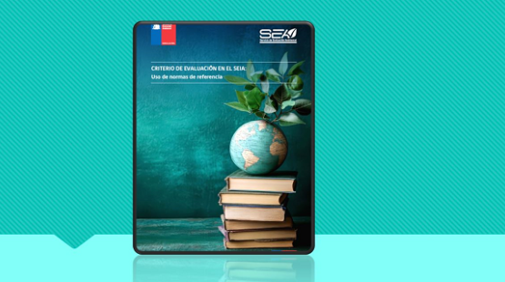 Servicio de Evaluación Ambiental publicó documento técnico referido al uso de normas de referencia