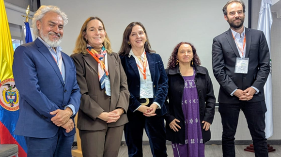 Directora de SEA participa en XII Diálogo Regional de Política sobre Licenciamiento y cumplimiento ambiental