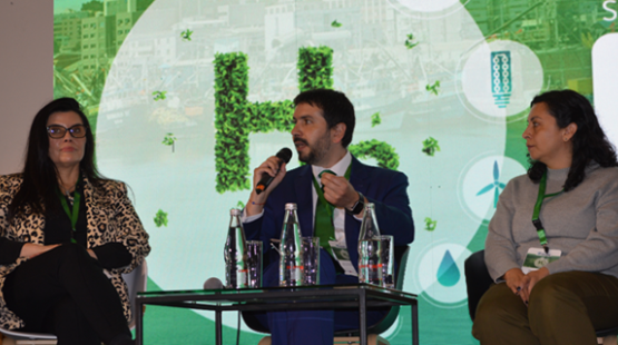 SEA participó en charla sobre dimensiones ambientales para el desarrollo de hidrógeno verde en el 6th Green Hydrogen Summit Chile-LAC