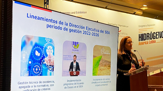 Directora en congreso de H2V