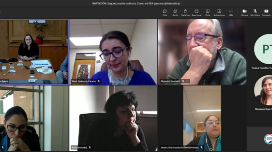 Presentación al Cosoc