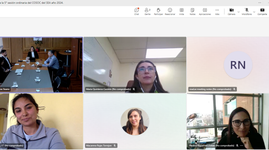 Cosoc del SEA realizó su quinta sesión del año