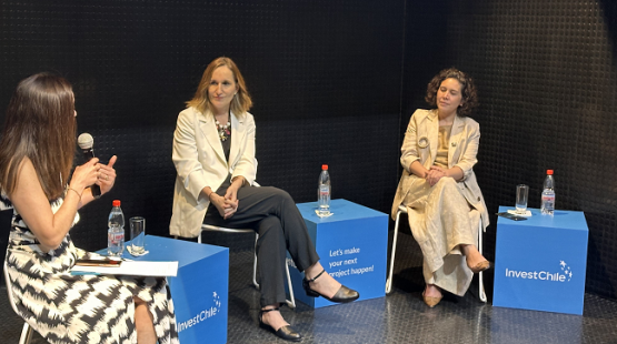 Empresas extranjeras se reúnen con la directora del SEA en encuentro organizado por InvestChile