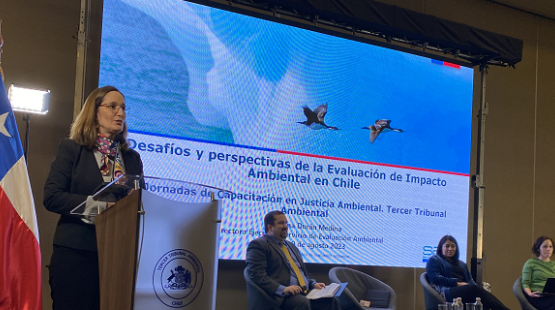 Directora Valentina Durán en encuentro del Tercer Tribunal Ambiental