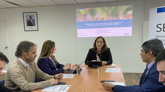 Directora Ejecutiva del SEA sostiene nutrida agenda de reuniones con énfasis en los proyectos de hidrógeno verde 