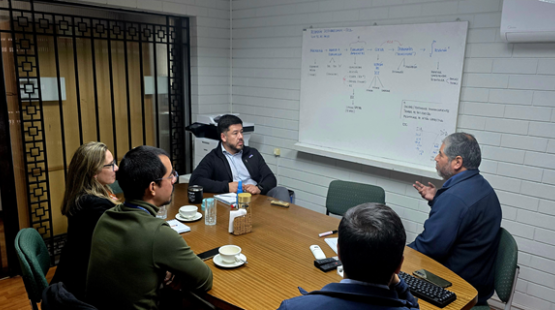 SEA Maule y Sernageomin fortalecen coordinación regional con reunión técnica sobre evaluación ambiental