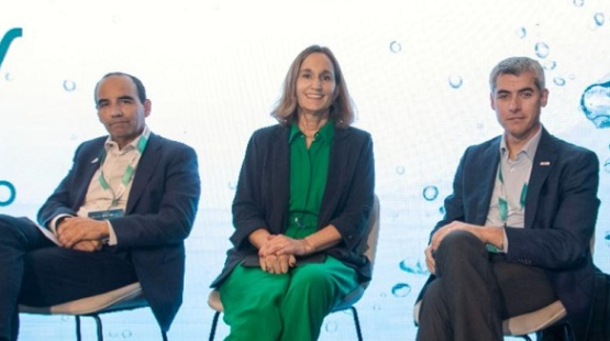 Directora del SEA: “Existe una baja sostenida en los tiempos y cantidad de proyectos que esperan ser votados por el Comité Ministros”