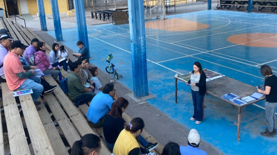 PAC Atacama (EIA) Parque Fotovoltaico Solar Wing