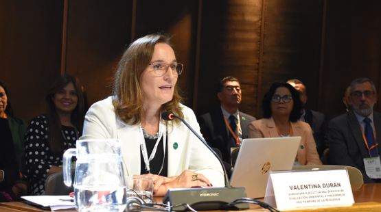 REDLASEIA fomenta el diálogo sobre participación ciudadana en la COP3 del Acuerdo de Escazú