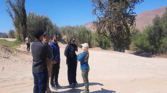 SEA Atacama organizó visita técnica al área de emplazamiento de proyecto de prospección minera 