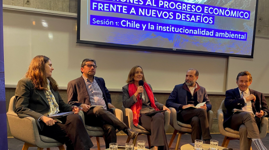 Directora Durán participó en seminario ambiental organizado por la FEN de la Universidad de Chile