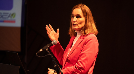 Directora del SEA participó en seminario sobre ampliaciones portuarias y logística en Valparaíso