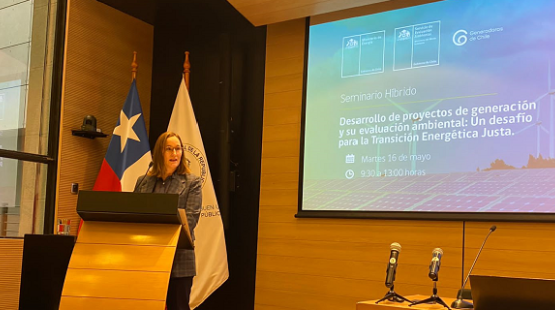 Seminario SEA, M. de Energía y Generadoras de Chile