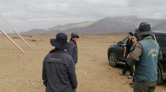 Visita técnica al área de emplazamiento del proyecto "Sistema de Almacenamiento de Energía y Línea de Transmisión BESS Chaguales"