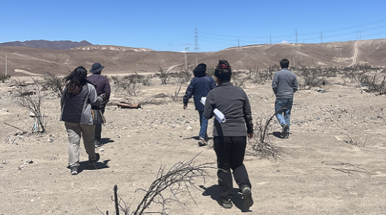 SEA Atacama organiza visita técnica por proyecto de almacenamiento de energía